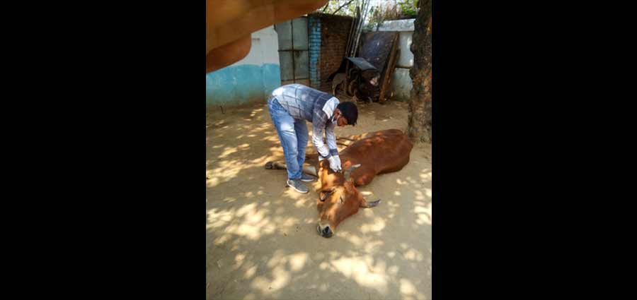 Sanjeevani Doctor Visit