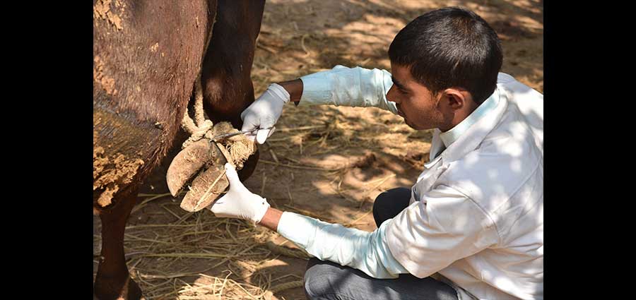 Sanjeevani Doctor Visit