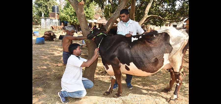 Sanjeevani Doctor Visit